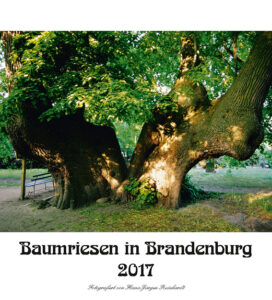 Baumriesen-Brandenburg