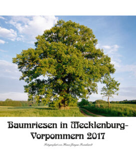 Baumriesen-MeckPom