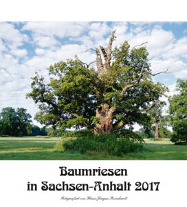 Baumriesen-Sachsen-Anhalt_Climate Partner